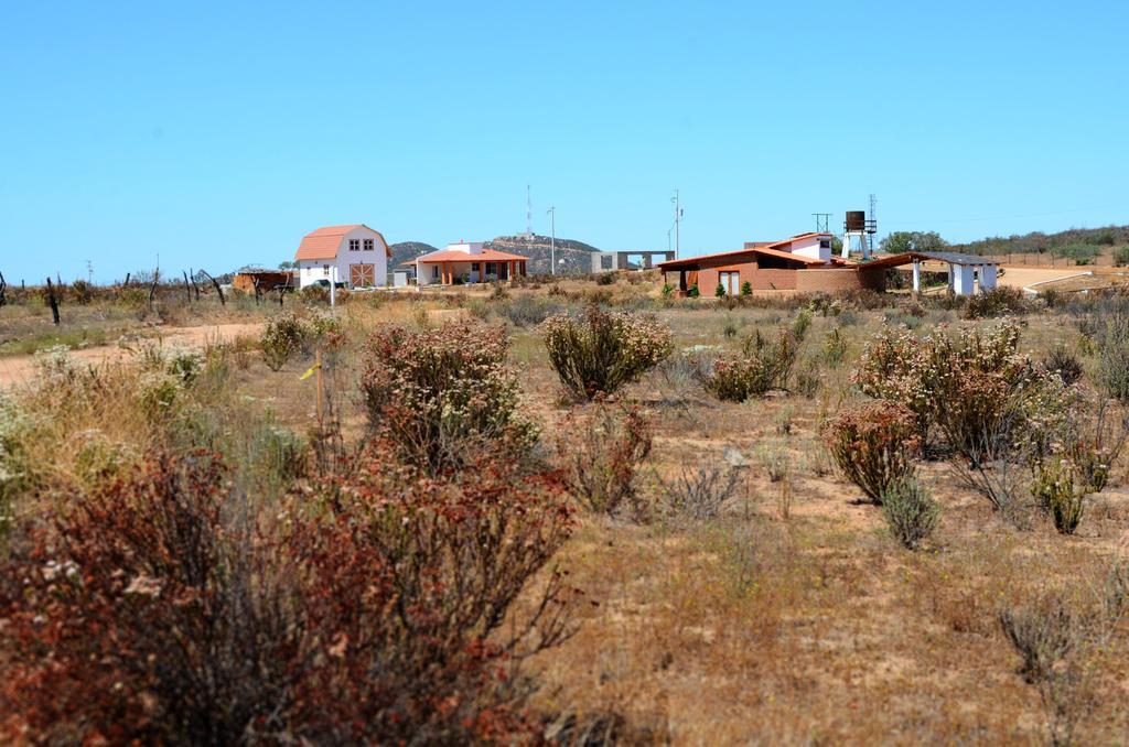Гостевой дом Little Nest En Rancho El Rossinyol Валье-де-Гуадалупе Экстерьер фото